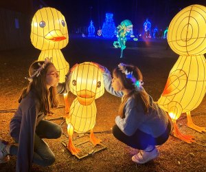 Kids can get up close to the adorable handcrafted creatures at Winter Lantern Festival Atlanta! 