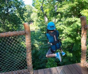 Test your comfort zone on the zip line at the Bronx Zoo's Treetop Adventure.