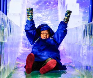 Enjoy some winter thrills by hurtling down the arctic slide at Moody Gardens this holiday season. 