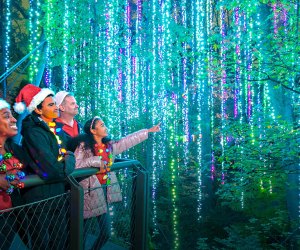 Garden Lights, Holiday Nights returns is a must-see Atlanta holiday event. Photo courtesy of the Atlanta Botanical Gardens