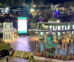Check out more than 50 illuminated winter scenes and animal characters at Turtle Back Zoo's holiday lights display.  Photo courtesy of the zoo