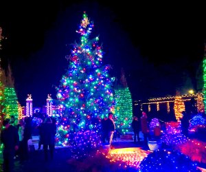 Untermyer Garden's Grand Holiday Illumination runs nightly from Friday, December 8, 2023-Monday, January 1, 2024. Photo courtesy of Untermyer Gardens